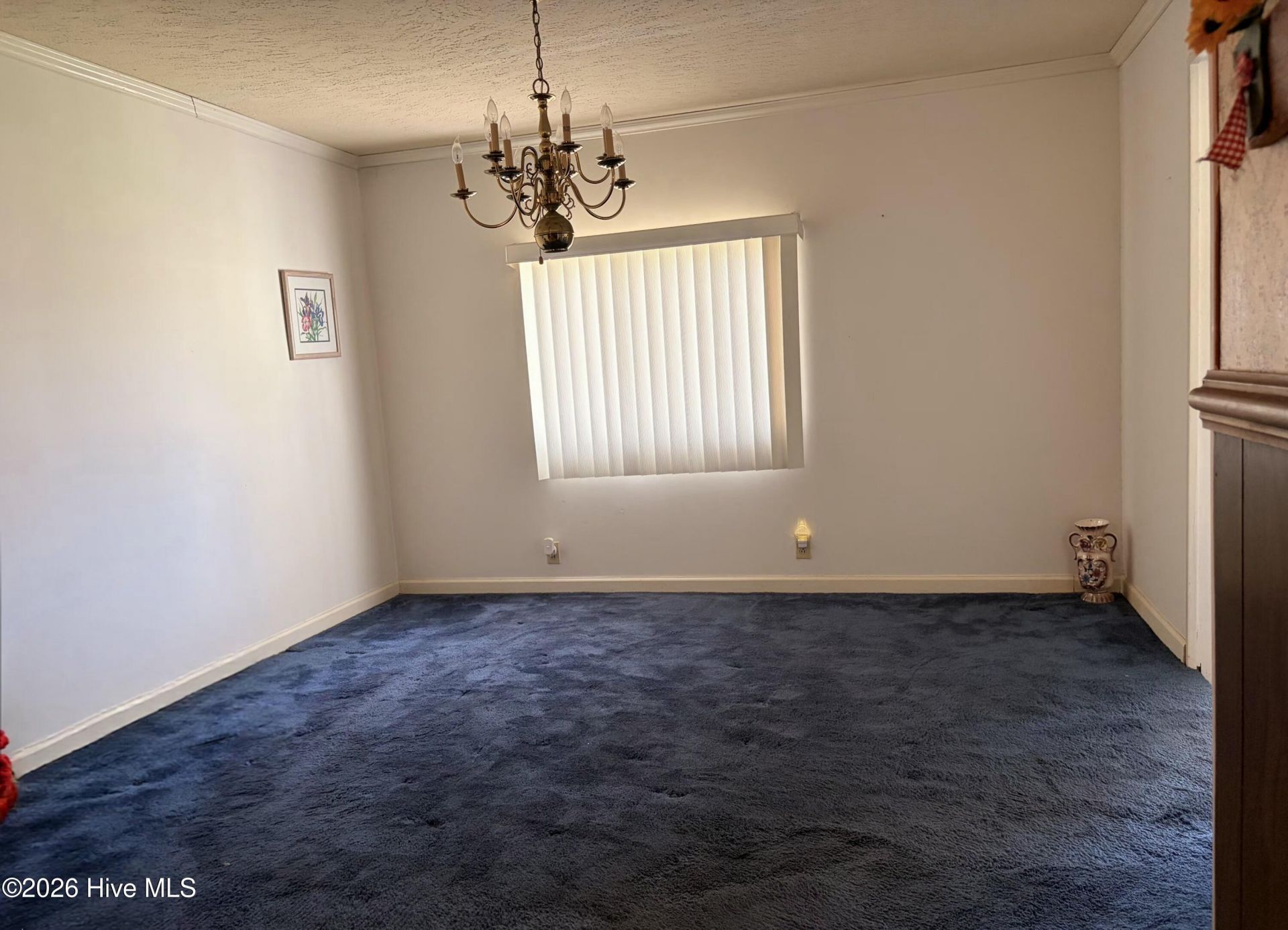 71 Canna Street Photo 10