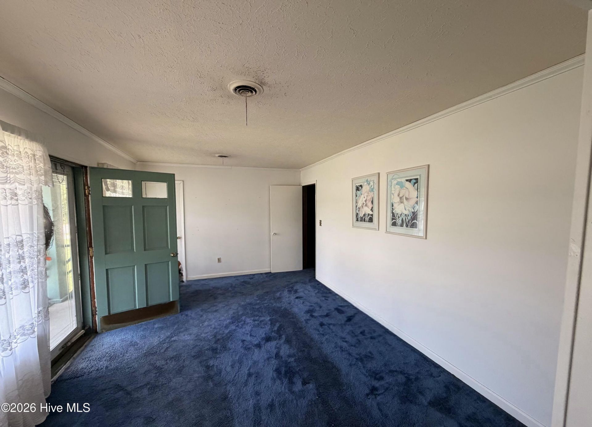 71 Canna Street Photo 7