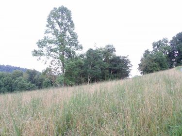 TBD Lakeview Drive, Grafton, WV 26354