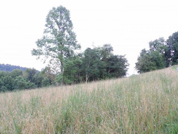 TBD Lakeview Drive, Grafton, WV 26354