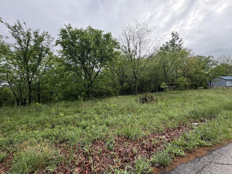 2728 Pea Ridge Road, Mount Olivet, KY 41064 Photo 4