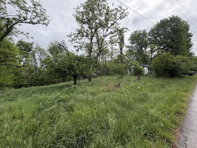 2728 Pea Ridge Road, Mount Olivet, KY 41064 Photo 8