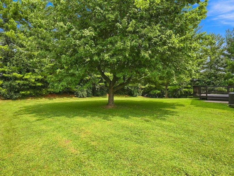 1263 Glen Haven Lane, Union Twp, OH 45103 Photo 46