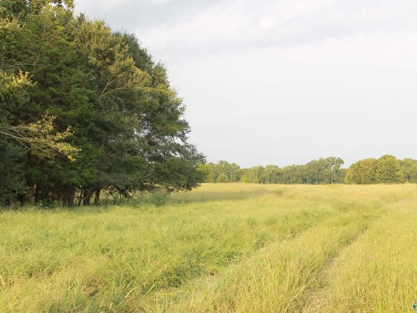 40.5 South Danville Road, Danville, AL 35619