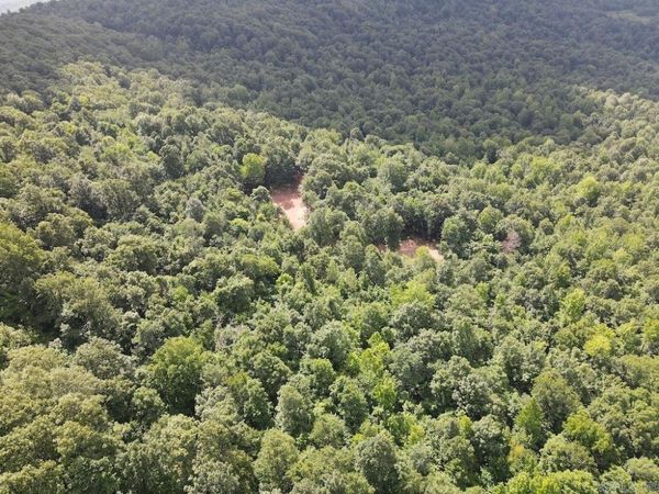 CR5 , Witt Springs, AR 72686