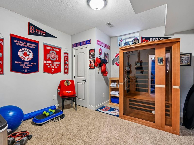 5167 Blessing Court, Galena, OH 43021 Photo 49