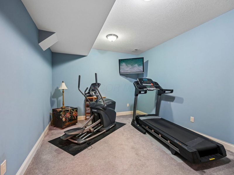 5167 Blessing Court, Galena, OH 43021 Photo 51