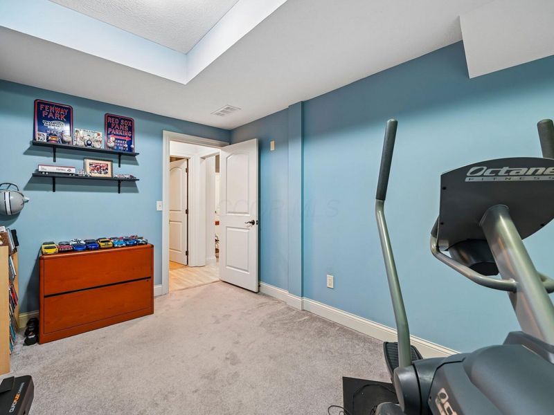 5167 Blessing Court, Galena, OH 43021 Photo 52