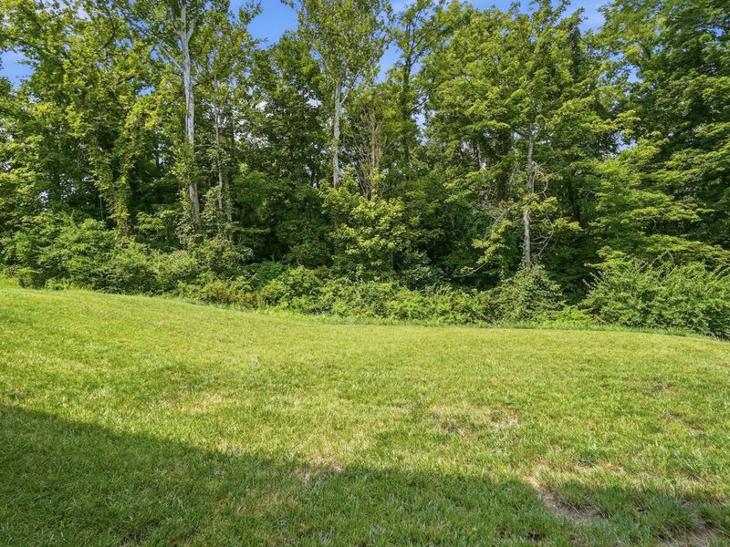 1631 Stone Crest Drive, Hebron, KY 41048 Photo 49