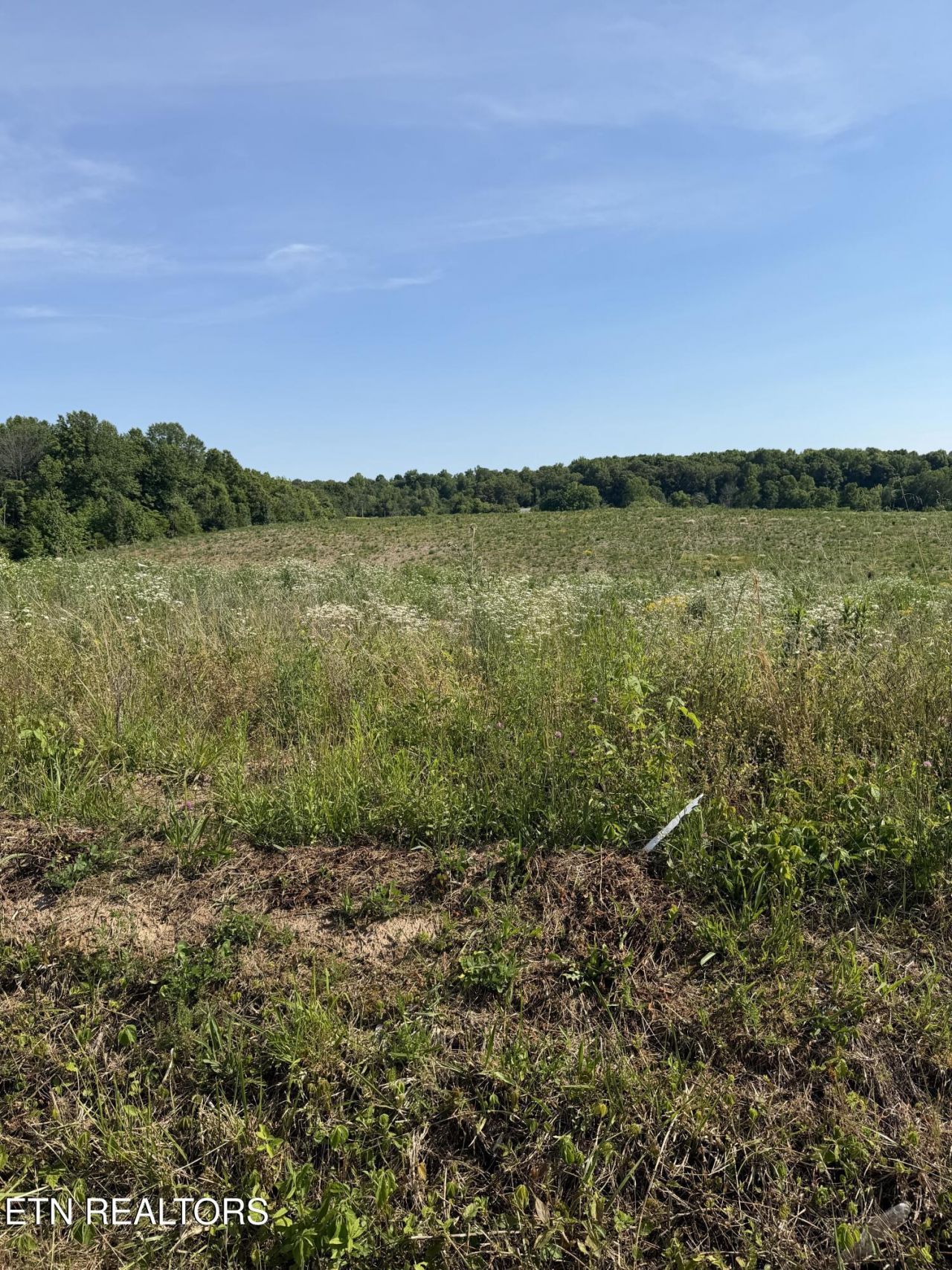 12c Petty Rd, Sparta, TN 38583 Main Photo