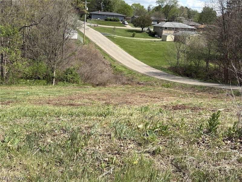 Bantam Ridge , Wintersville, OH 43953 Photo 5