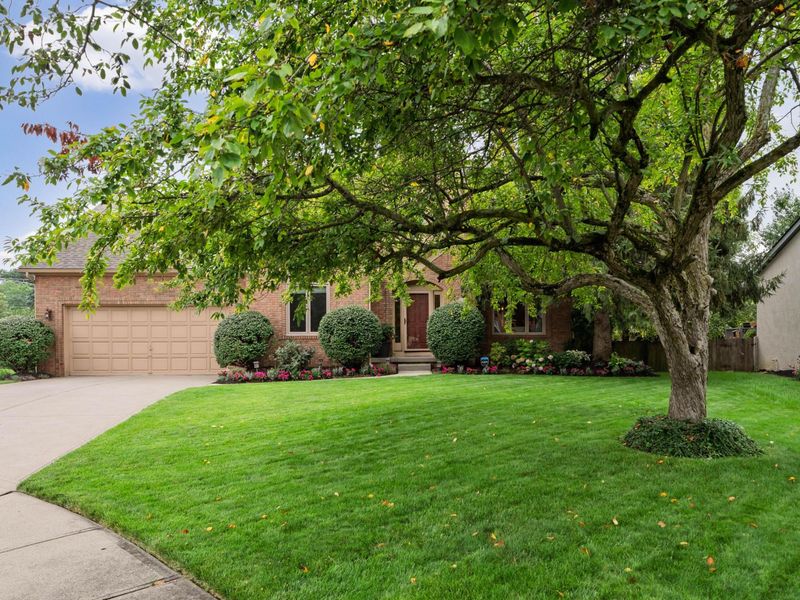261 Wedgewood Court, Westerville, OH 43082 Photo 4