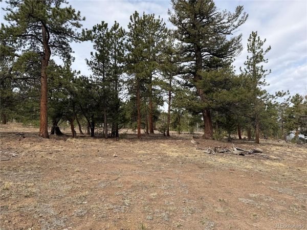 Chubb Court , Buena Vista, CO 81211