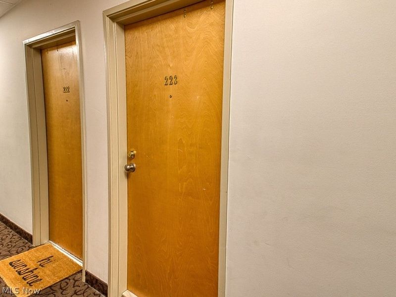 408 W Saint Clair Avenue , Unit 223, Cleveland, OH 44113 Photo 20