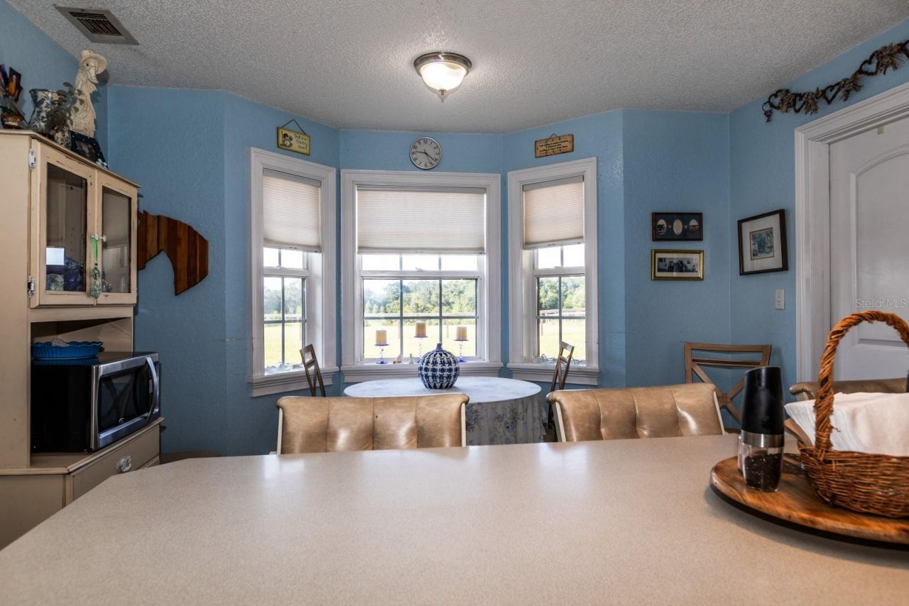 24948 Walkabout Ranch Road , Sorrento, FL 32776 Photo