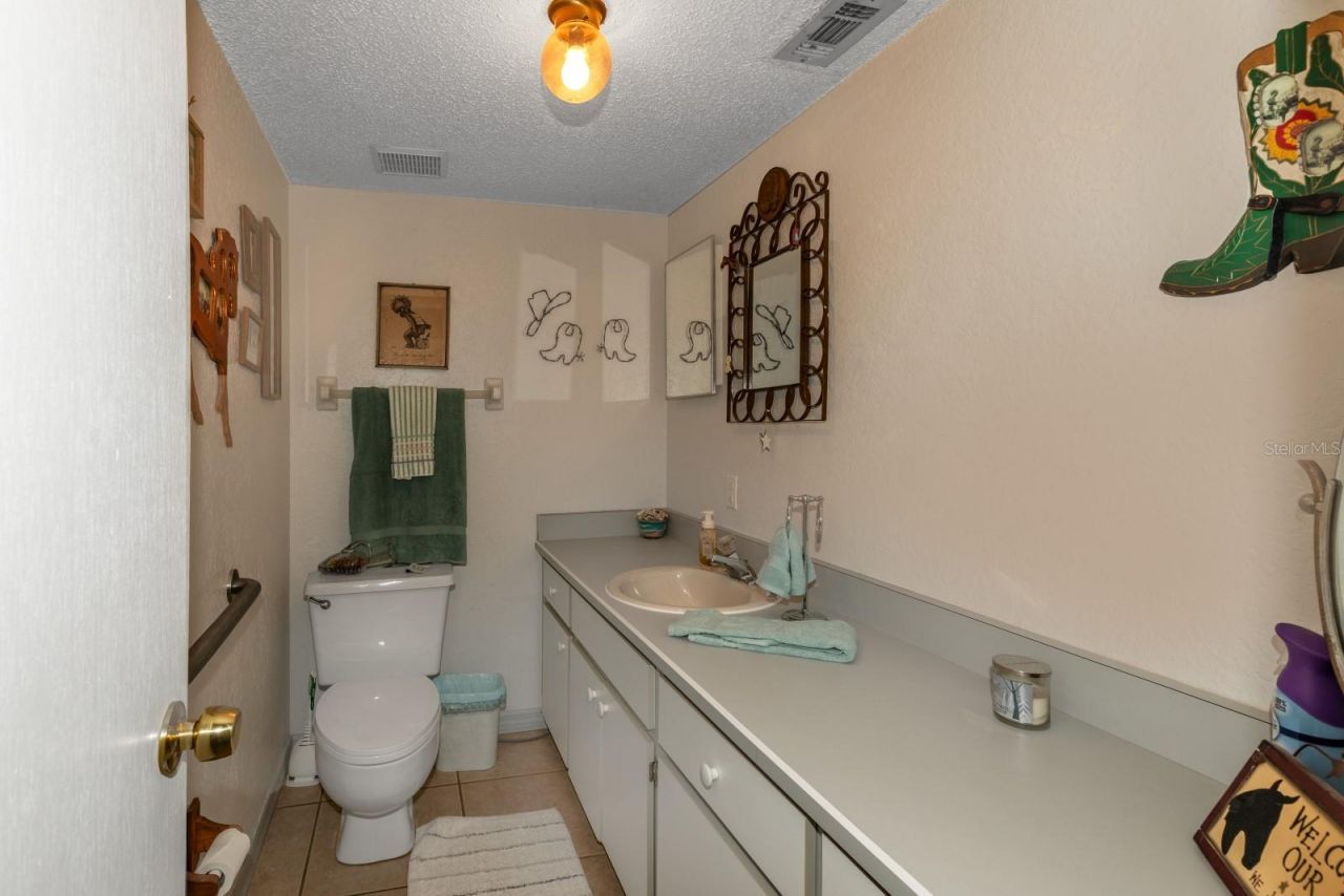 24948 Walkabout Ranch Road , Sorrento, FL 32776 Photo
