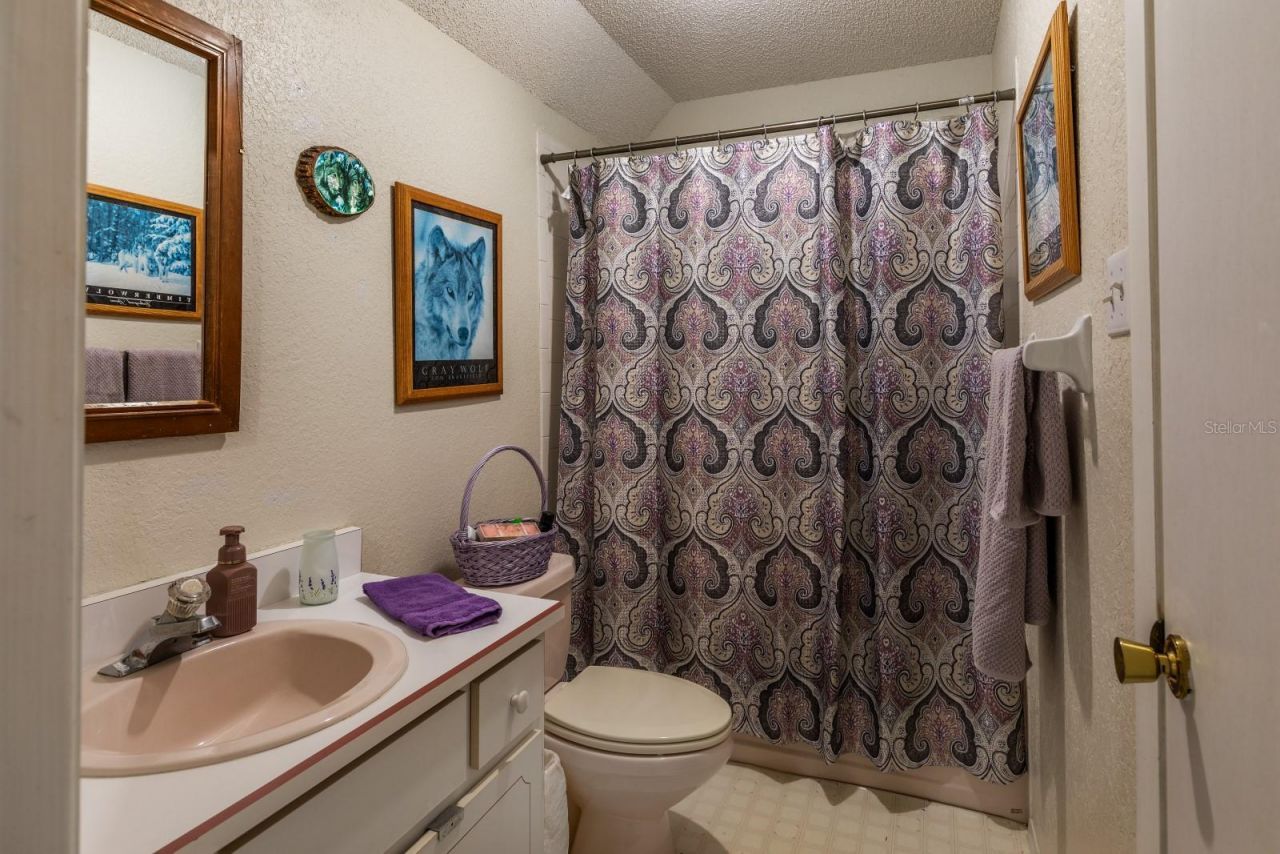 24948 Walkabout Ranch Road , Sorrento, FL 32776 Photo
