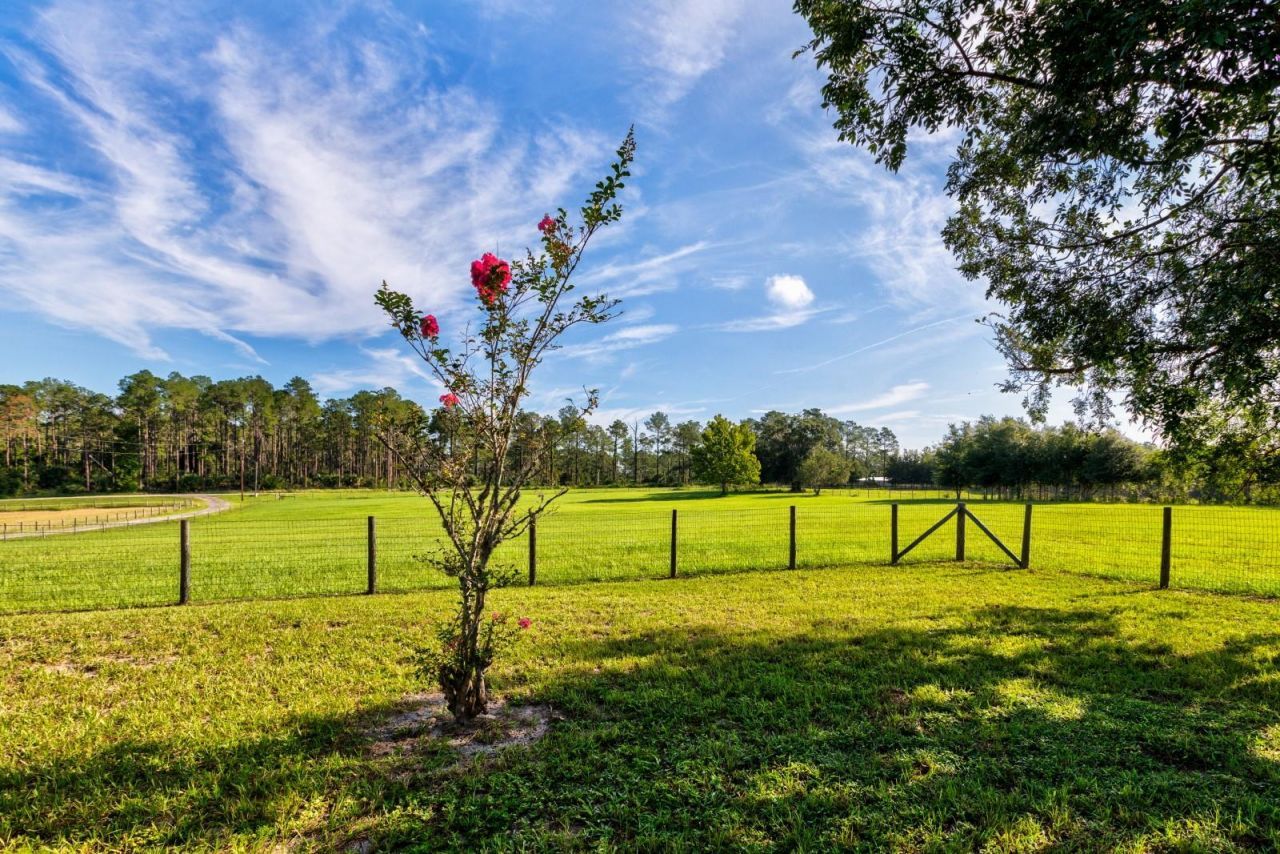 24948 Walkabout Ranch Road , Sorrento, FL 32776 Photo