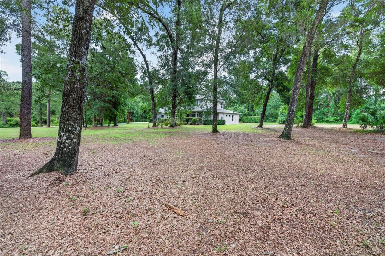 1515 Rambling Oaks Lane , Deland, FL 32720 Photo