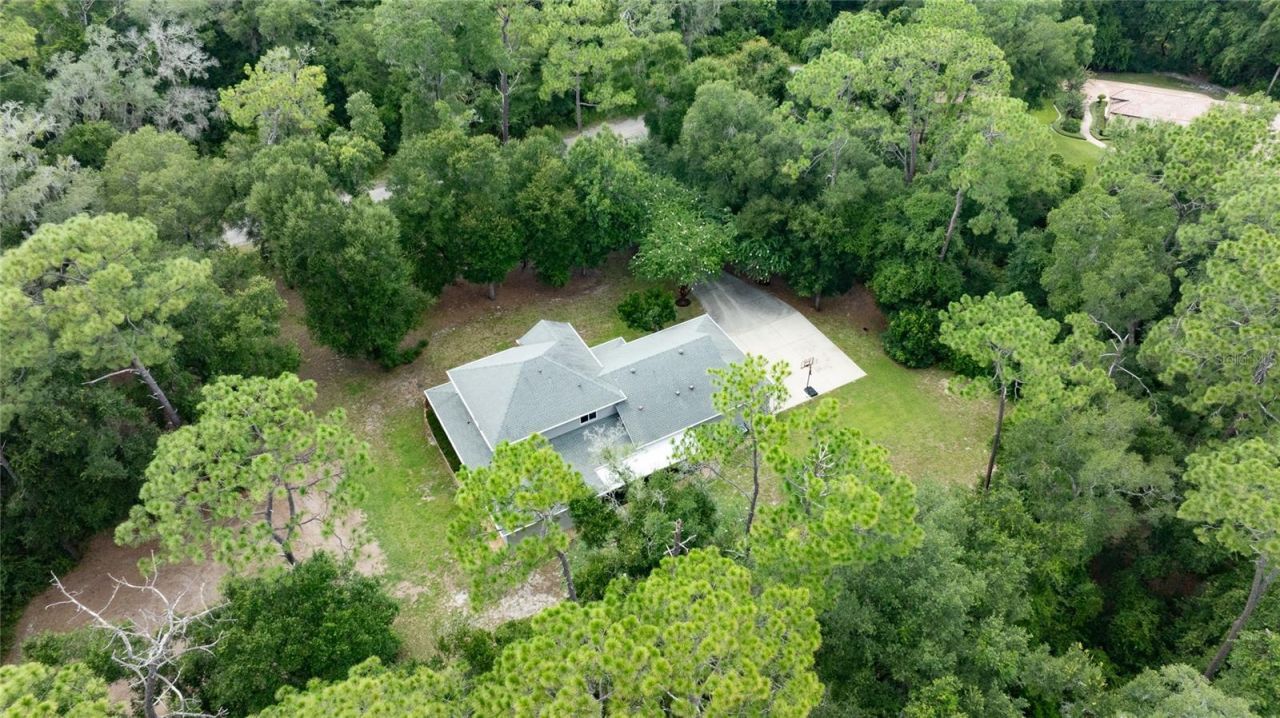 1515 Rambling Oaks Lane , Deland, FL 32720 Photo
