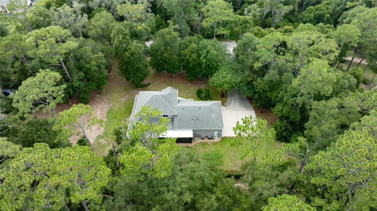 1515 Rambling Oaks Lane , Deland, FL 32720 Photo