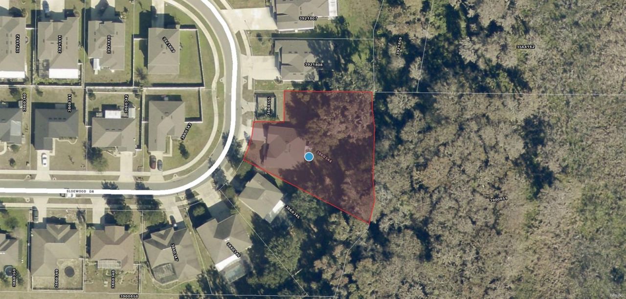 7830 Sloewood Drive, Leesburg, FL 34748 Photo