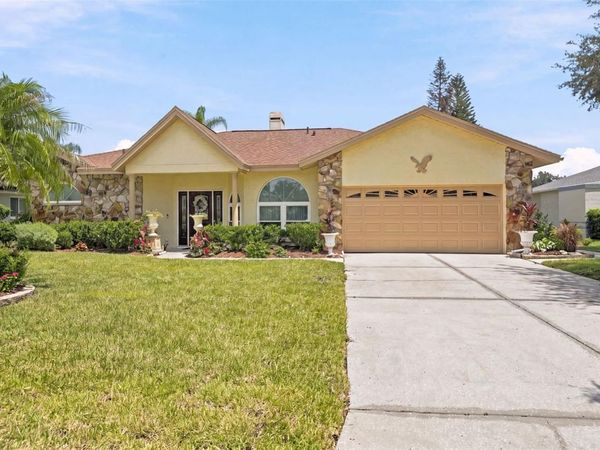 23427 PINE LAKE STREET, LAND O LAKES, FL 34639