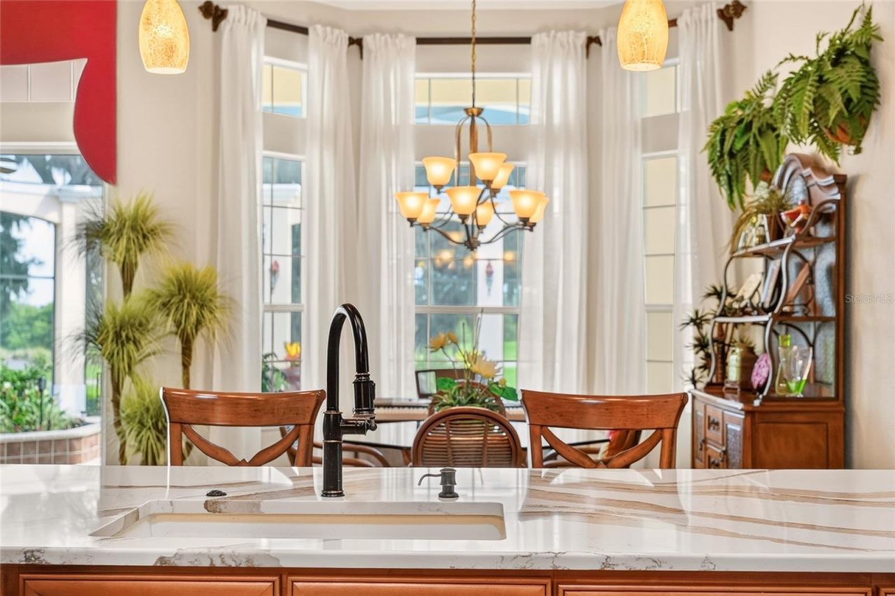2063 Lake Ridge Drive, The Villages, FL 32162 Photo