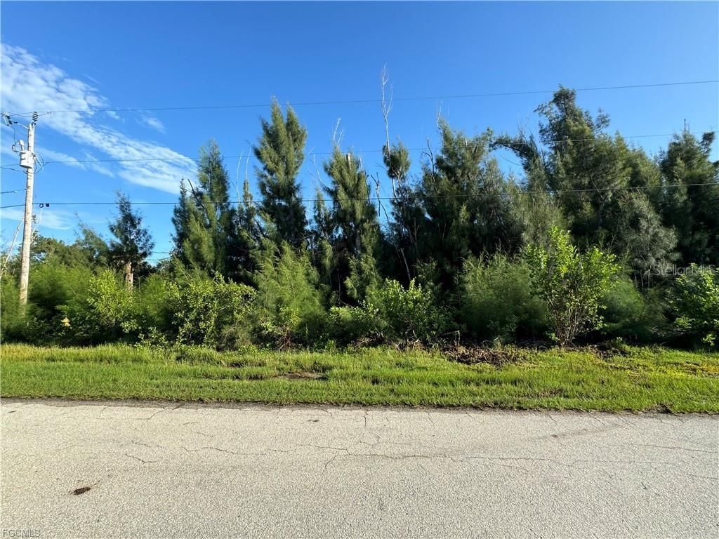 3486 Papaya Street , Saint James City, FL 33956 Main Photo