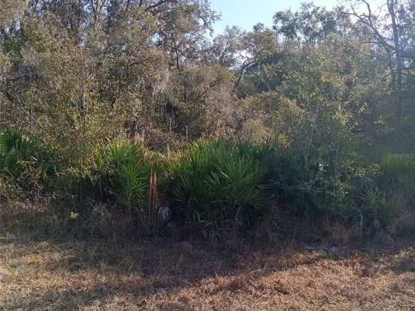 8110 TREIMAN BOULEVARD , WEBSTER, FL 33597