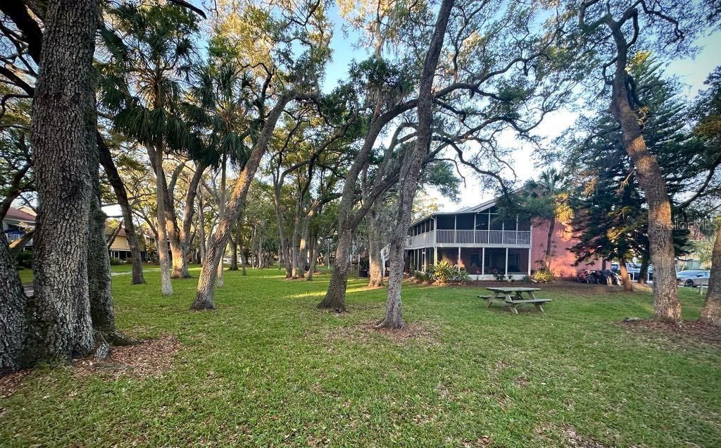 3595 41st Lane S, Unit J, Saint Petersburg, FL 33711 Photo