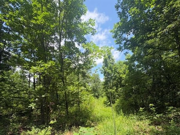 0 H Highway , Ellington, MO 63638