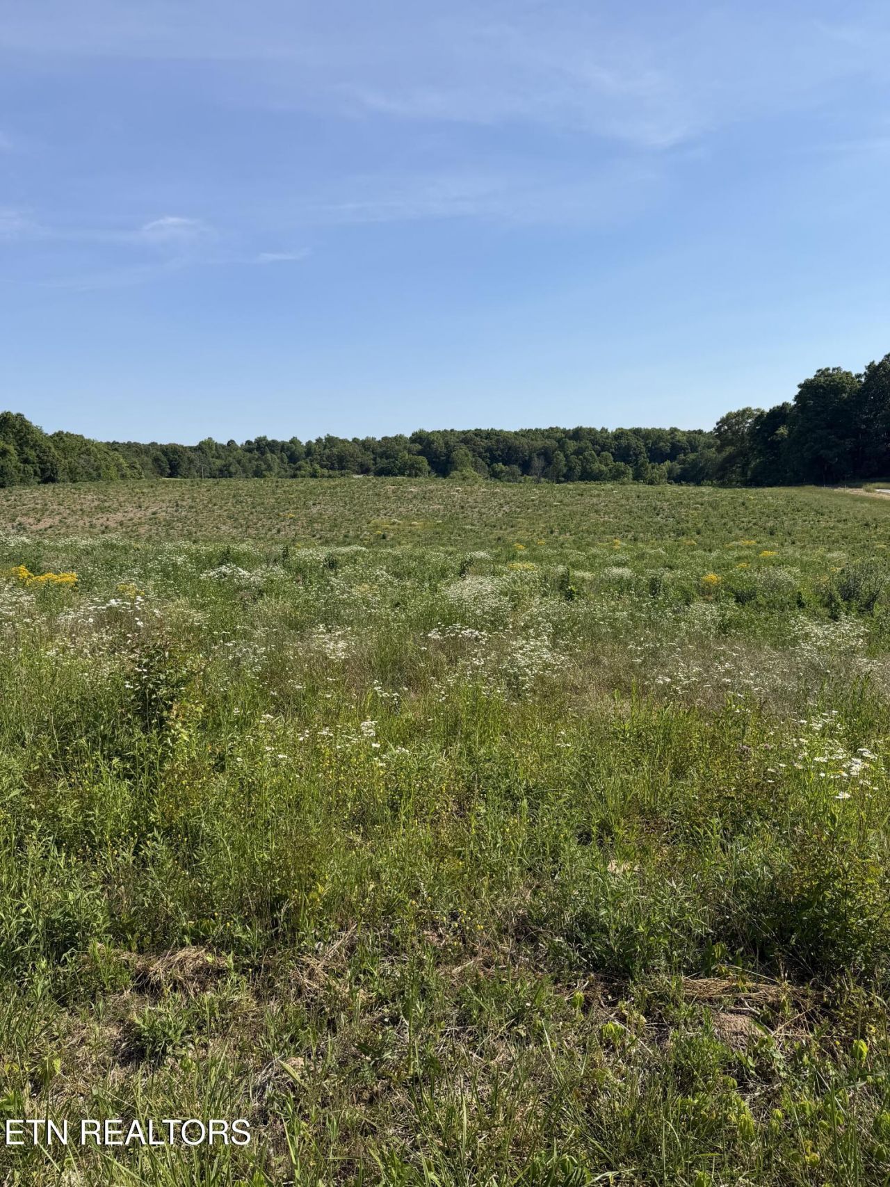 287 12d Petty Rd, Sparta, TN 38583 Main Photo