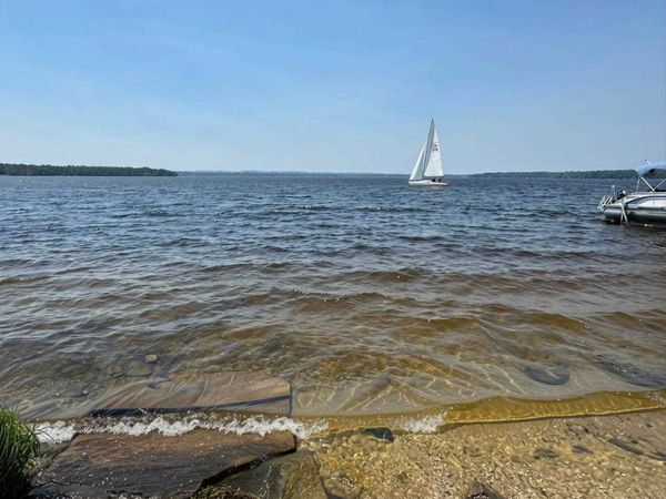 15785 & 15787 Paradise Lake Road, Carp Lake, MI 49718