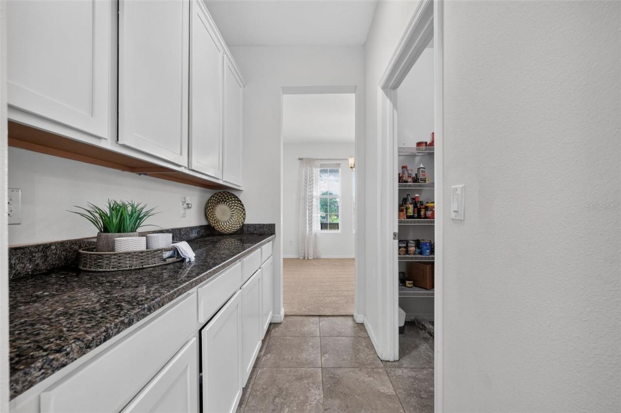 6541 Devesta Loop , Palmetto, FL 34221 Photo