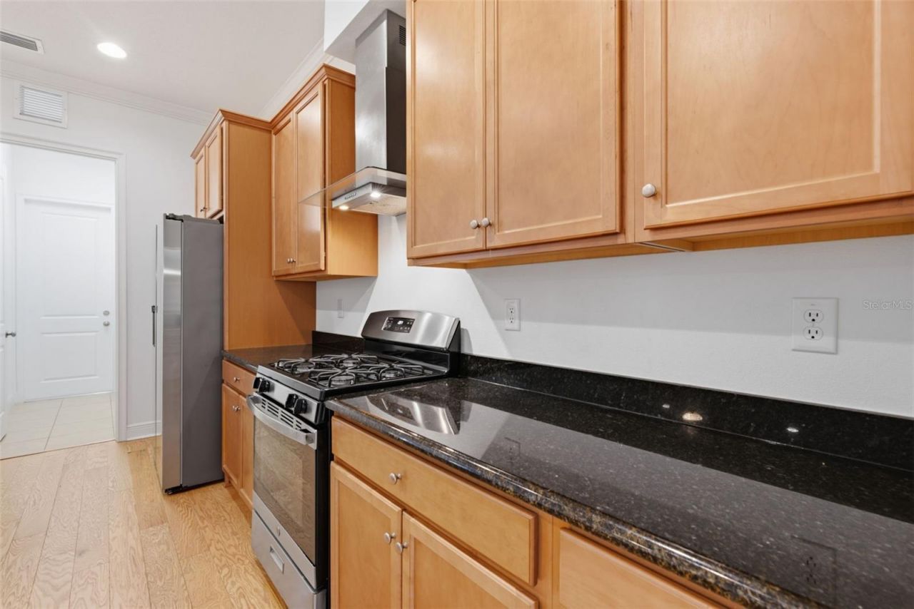 3908 Gaviota Drive, Sun City Center, FL 33573 Photo