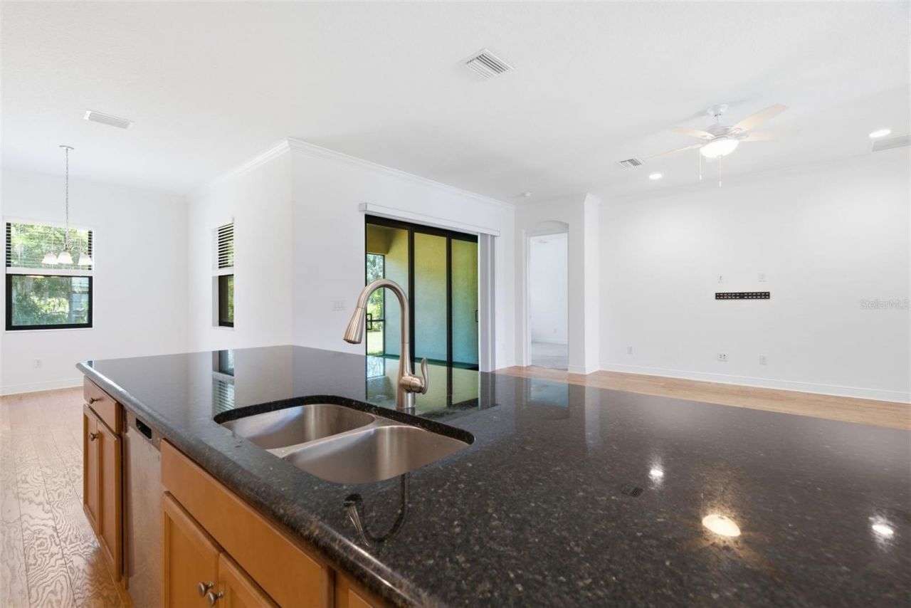 3908 Gaviota Drive, Sun City Center, FL 33573 Photo