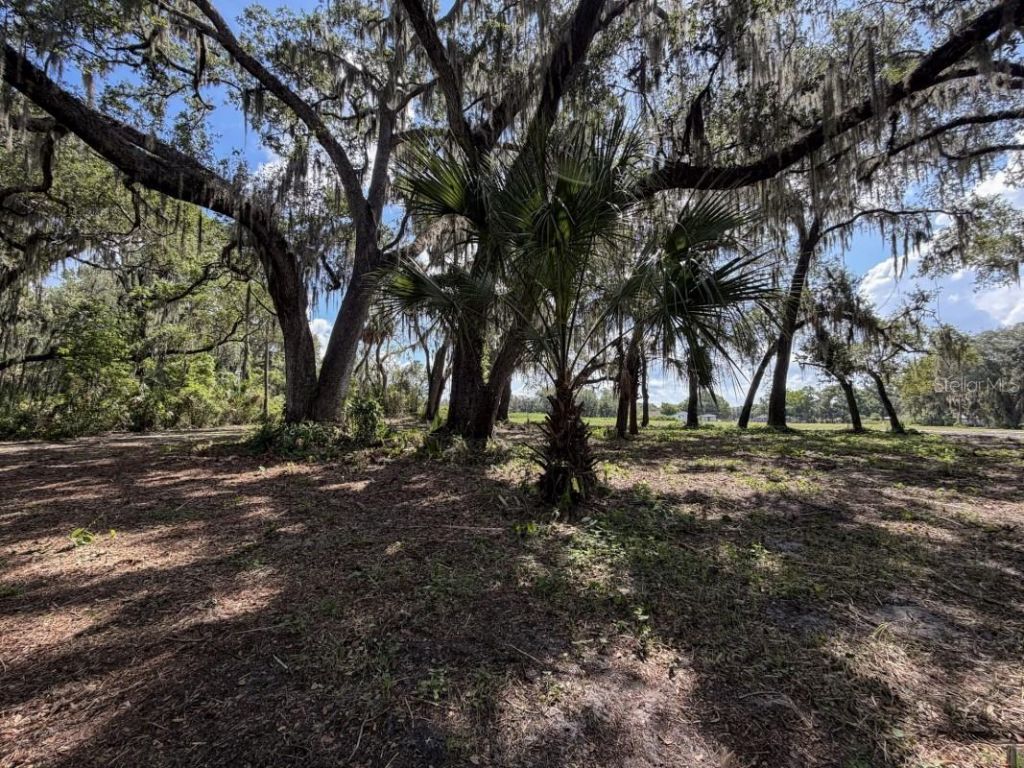 Horton Road, Plant City, FL 33567 Photo