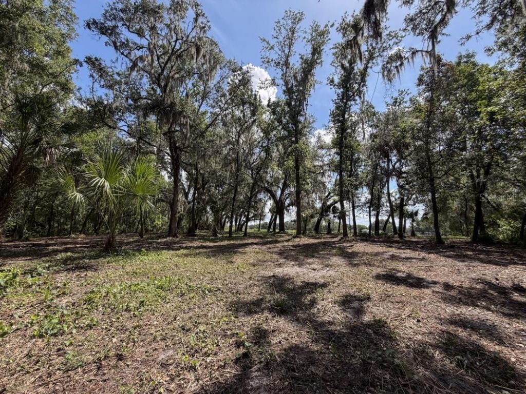 Horton Road, Plant City, FL 33567 Photo