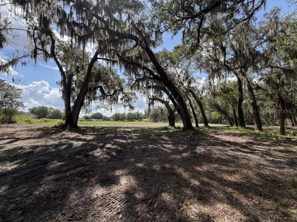 Horton Road, Plant City, FL 33567 Photo