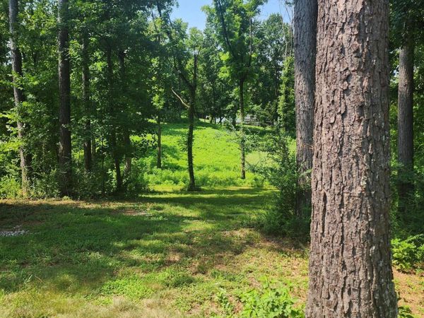 2255 Hubbard Rd, Loudon, TN 37774