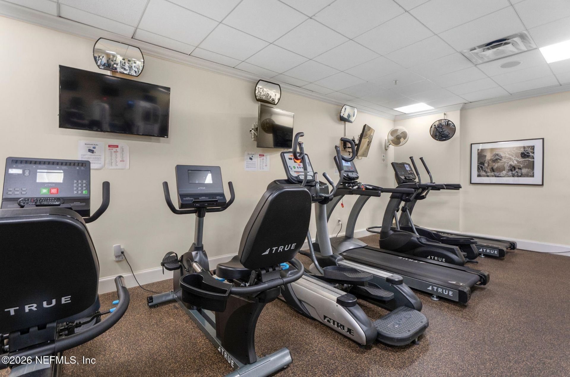 2358 Riverside Avenue, Unit 105, Jacksonville, FL 32204 Photo