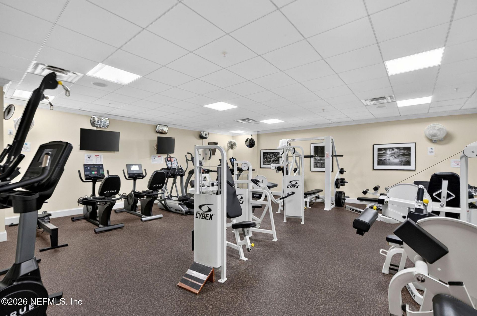 2358 Riverside Avenue, Unit 105, Jacksonville, FL 32204 Photo