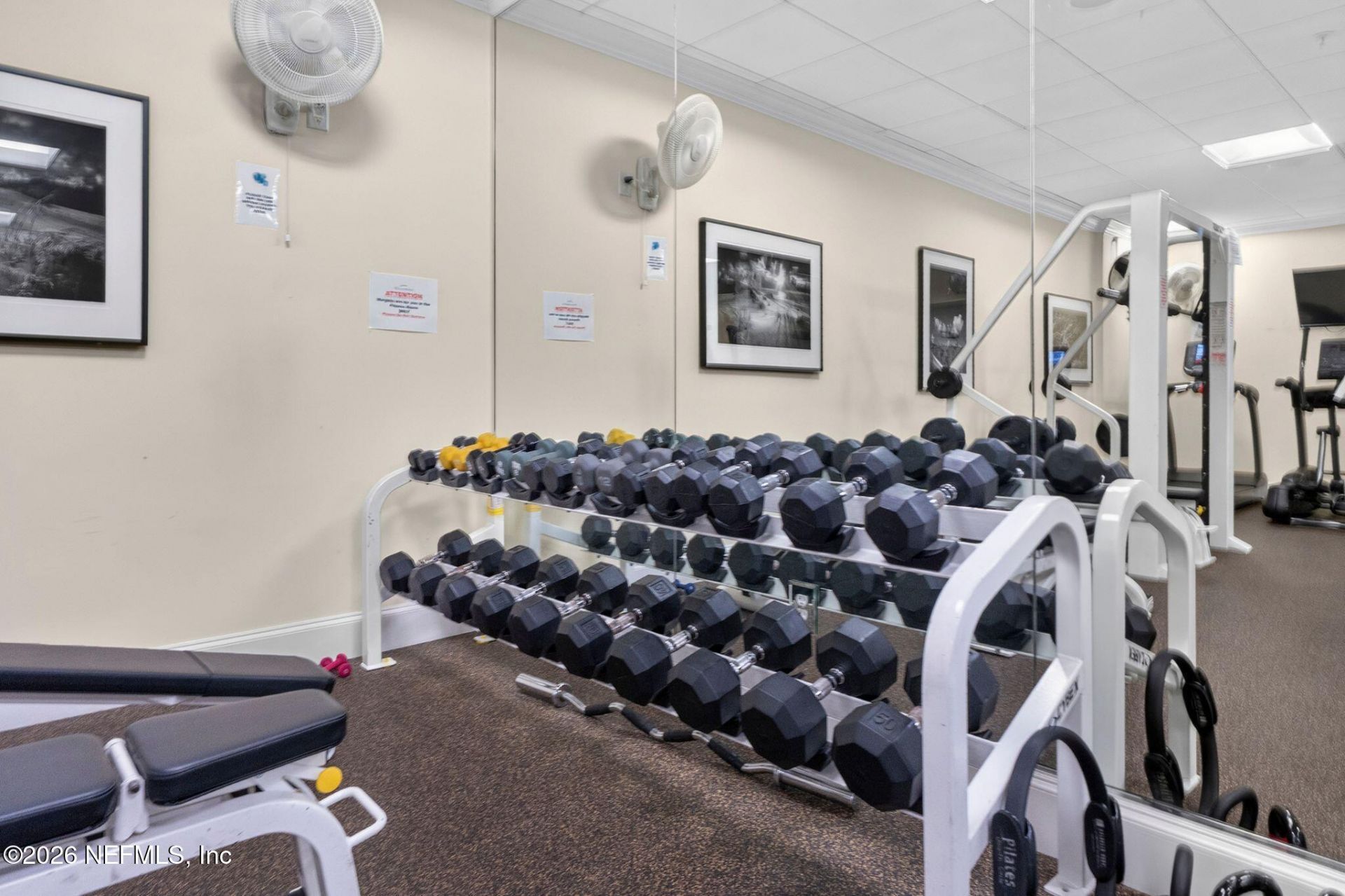 2358 Riverside Avenue, Unit 105, Jacksonville, FL 32204 Photo