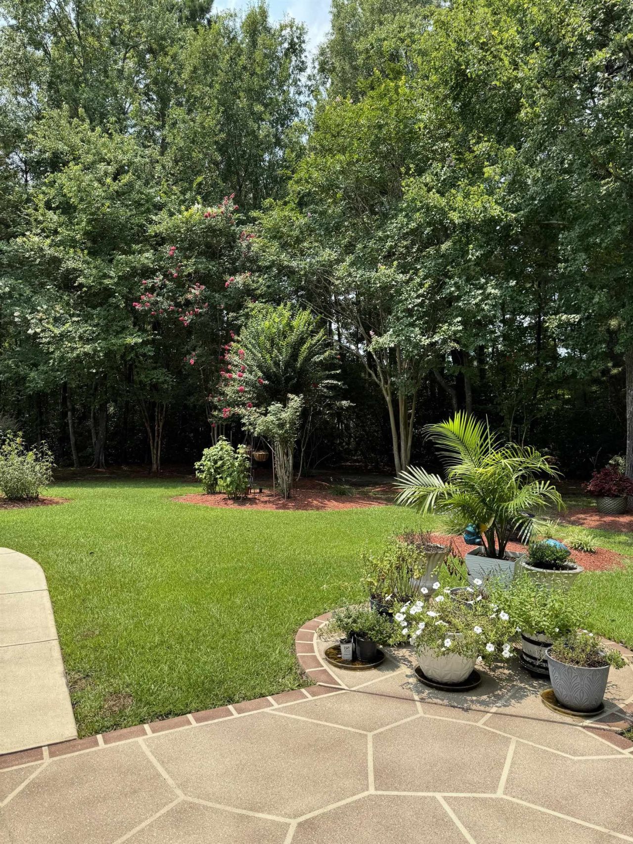 908 Adaline Ct. Photo 10