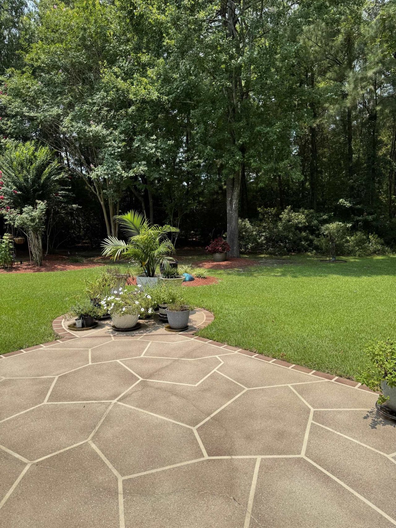 908 Adaline Ct. Photo 9