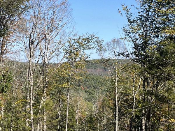 Map 227 Lot 010 Underwood Road, Acworth, NH 03601