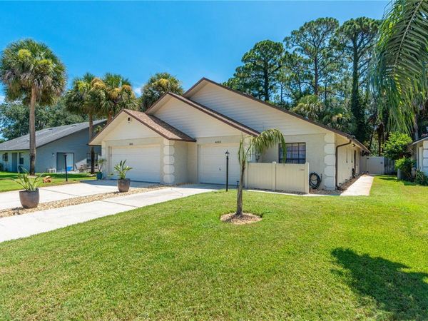 4523 NETTLE CREEK COURT, PORT ORANGE, FL 32127