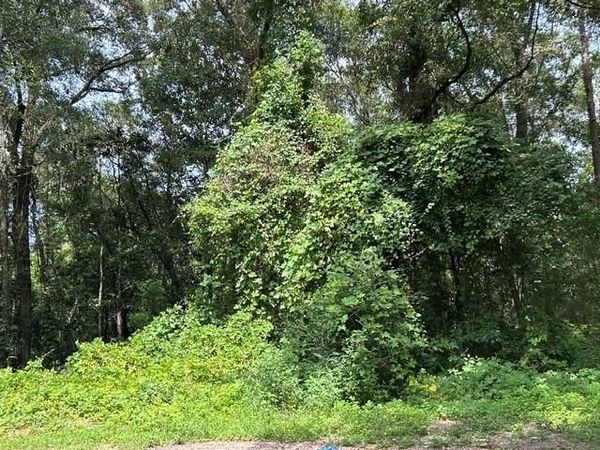 0 Murray Heights Drive, Irvington, AL 36544