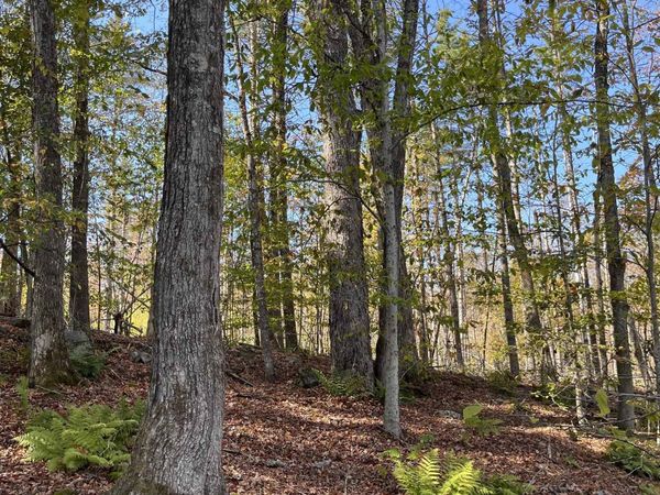 Map 227 Lot 007 Underwood Road, Acworth, NH 03601